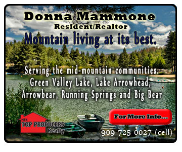 Donna Mammone-Realtor